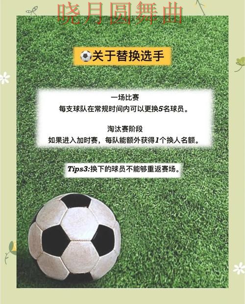 世界杯投注荷兰比赛方向应该怎么看